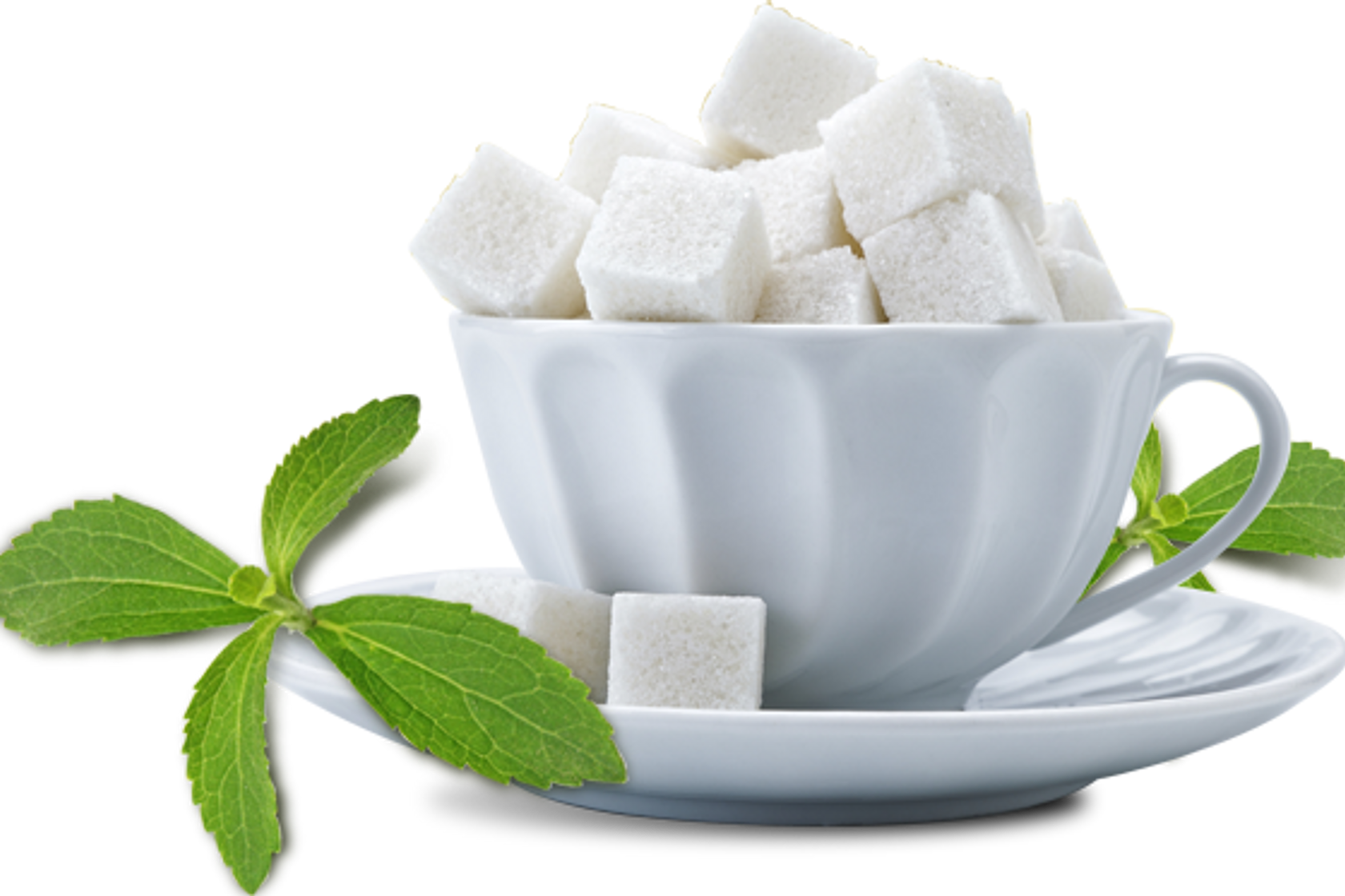 Natural and non-nutritive sweetener ingredients for sugar reduction